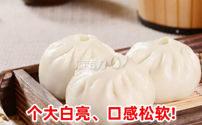 墨鱼包