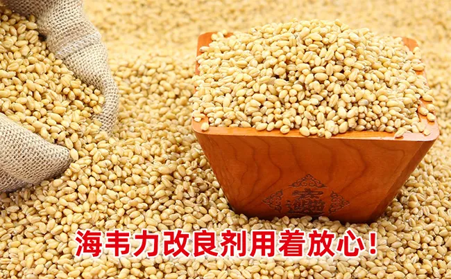 面粉厂制粉系统的主要作用