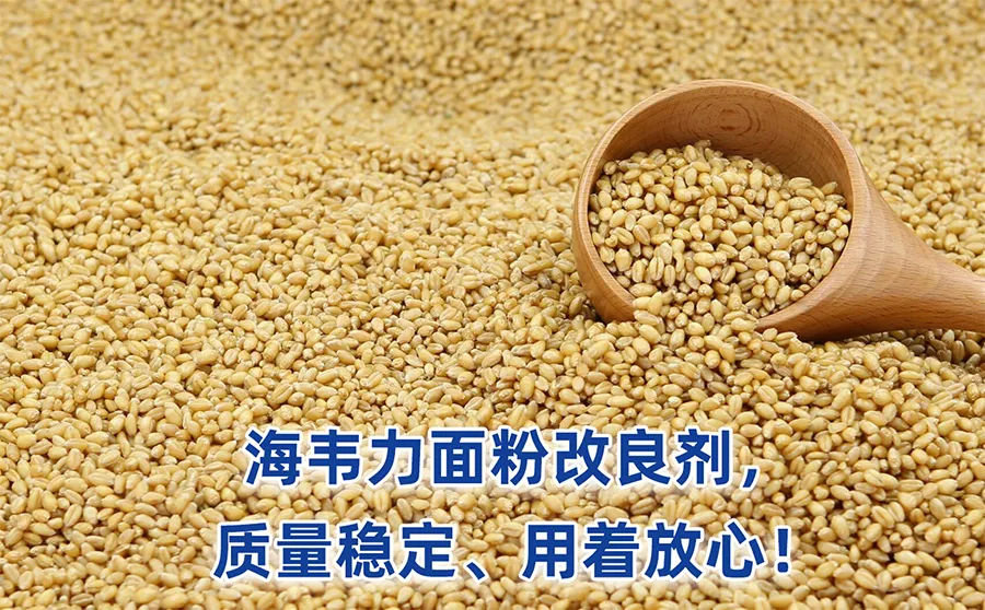 小麦种植区域,中国小麦种植区划