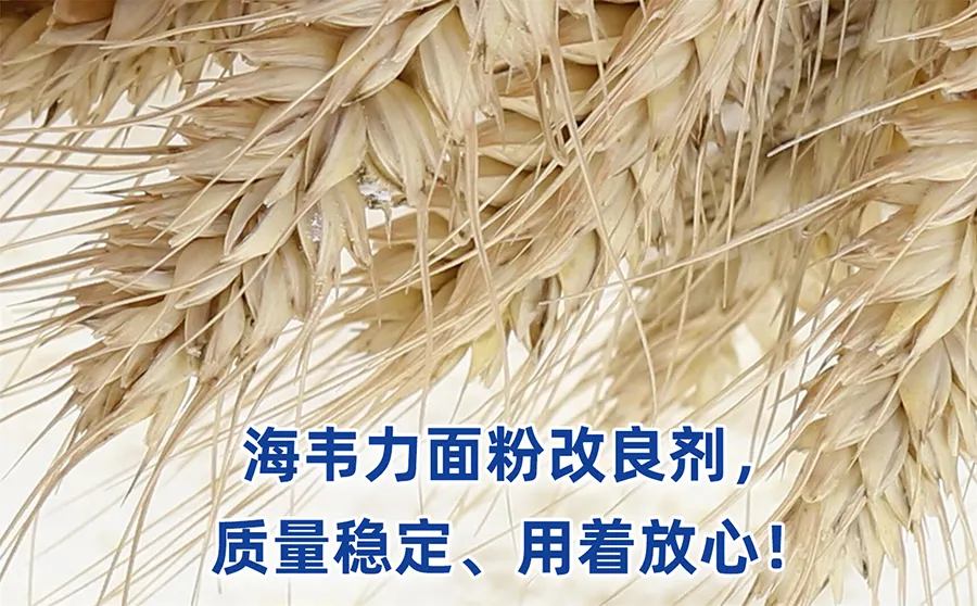面包如何发酵