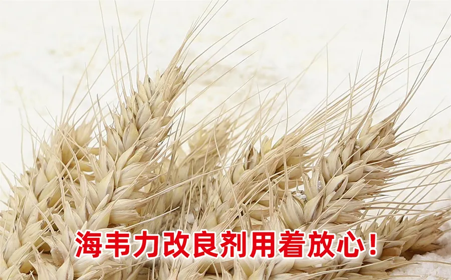 破损淀粉的影响,降低面粉中破损淀粉含量的措施及破损淀粉含量与面粉吸水率关系
