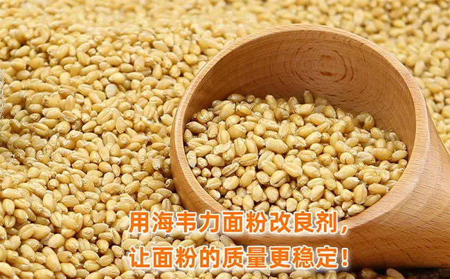 面粉加工厂常用的筛网,面粉筛网的正确选择与使用