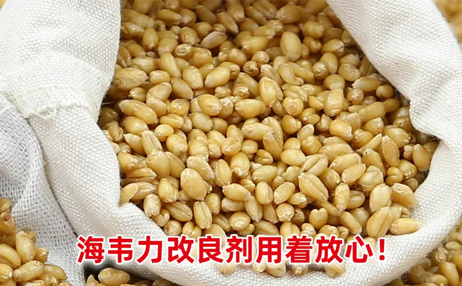 小麦胚中维生素含量