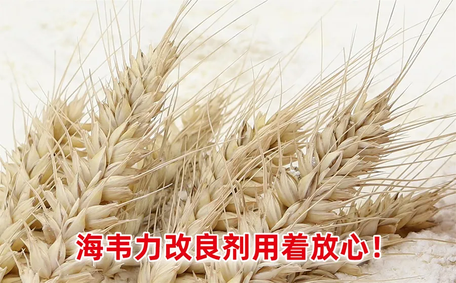 小麦麸皮的营养价值 小麦麸皮的营养价值
