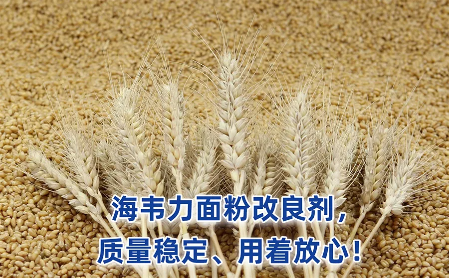 全麦粉的营养性说明