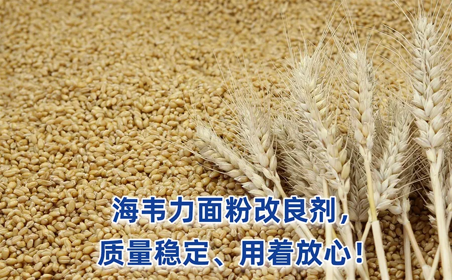 面条的常见分类