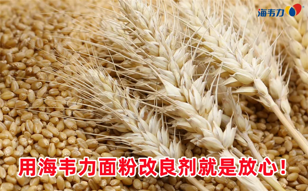 谷朊粉的作用