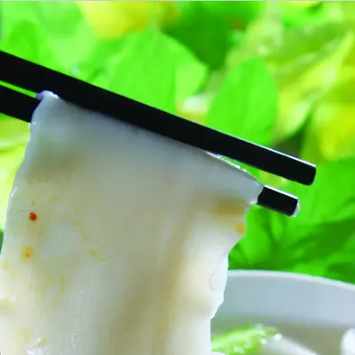 砂锅鸭肉面